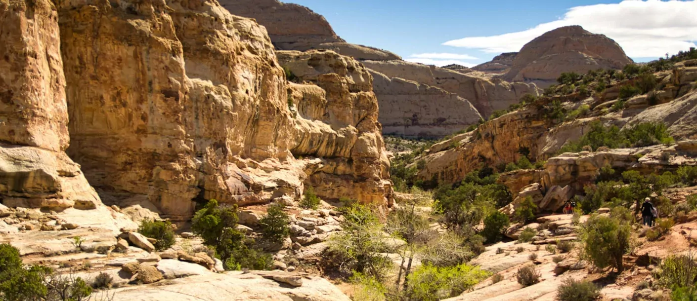 capitol reef national park.webp