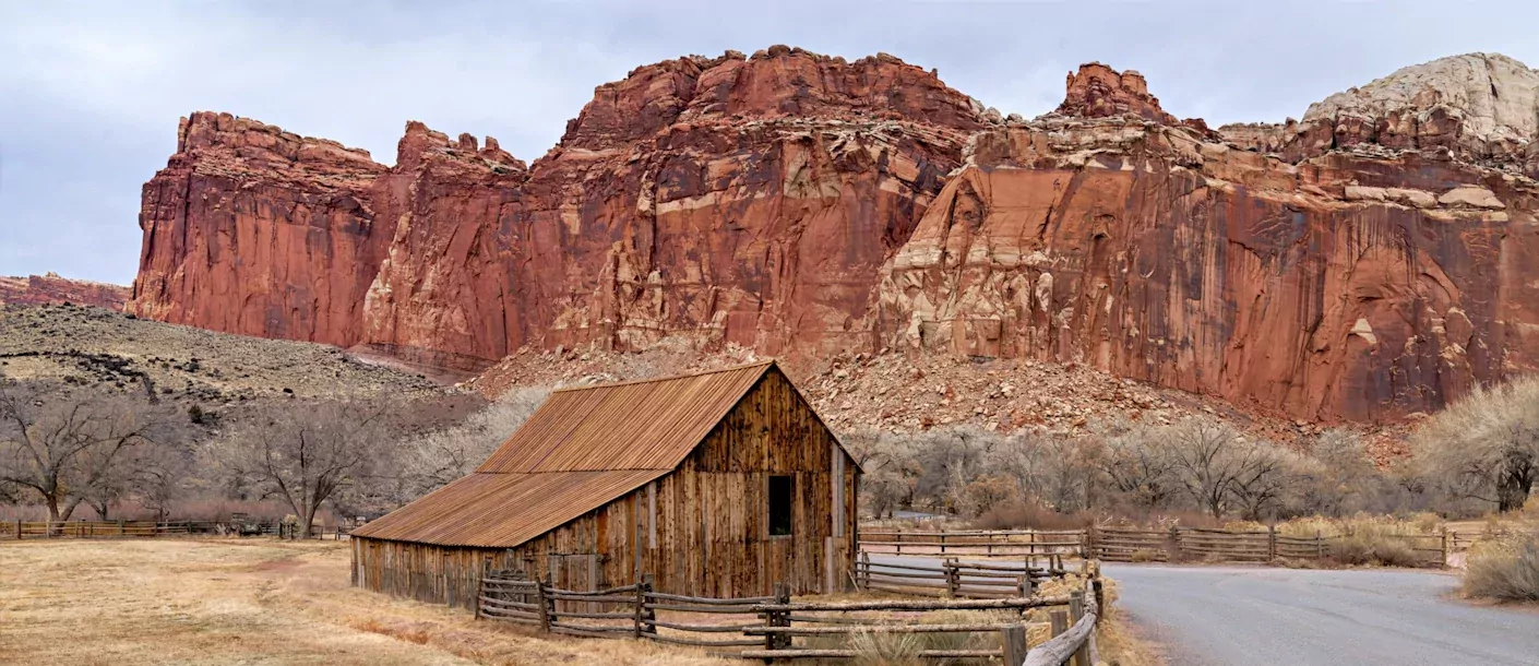 capitol reef national park.webp