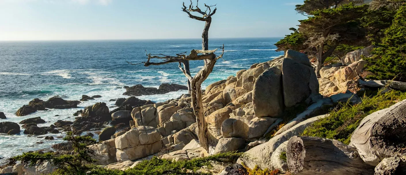 17-mile drive monterey.webp