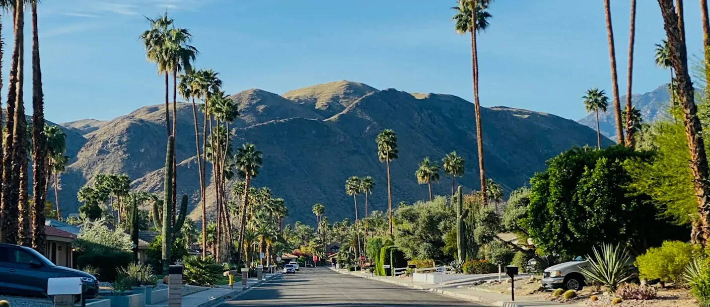 palm springs.webp