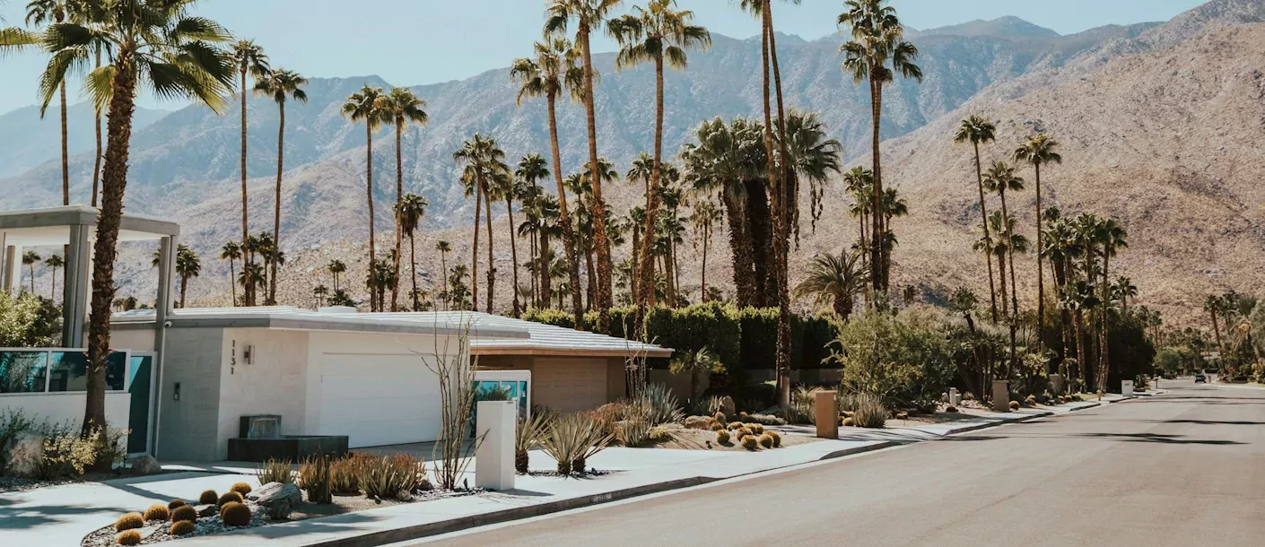 palm springs.webp