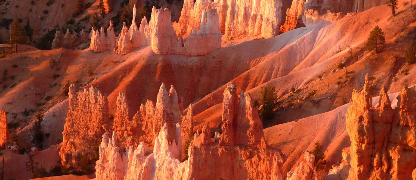 bryce canyon national park.webp