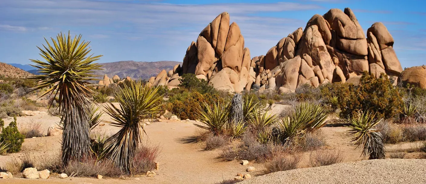 mojave desert.webp