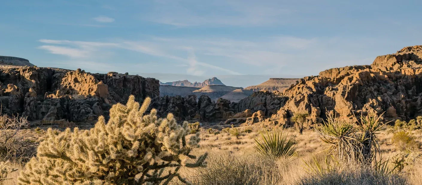 mojave desert.webp