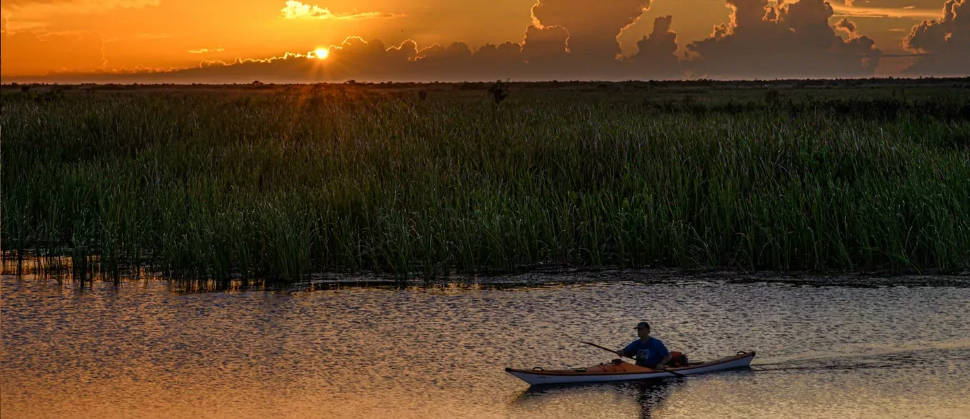 everglades.webp