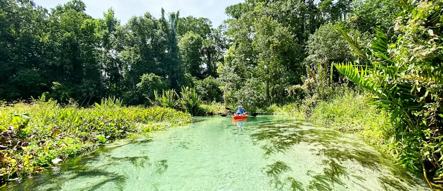 homosassa springs.webp