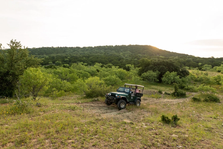 wildcatter ranch resort & spa - ranch tour.webp