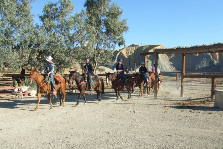 chisos mountains lodge - horsebackriding.webp