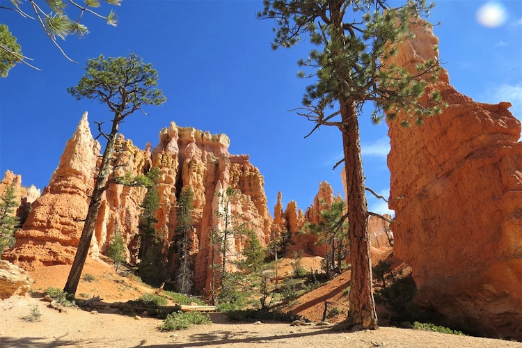 bryce canyon 013.webp