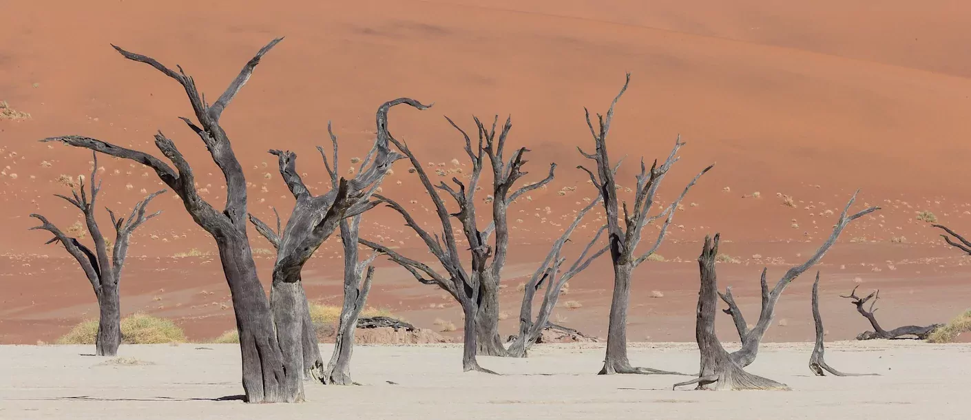 deadvlei.webp