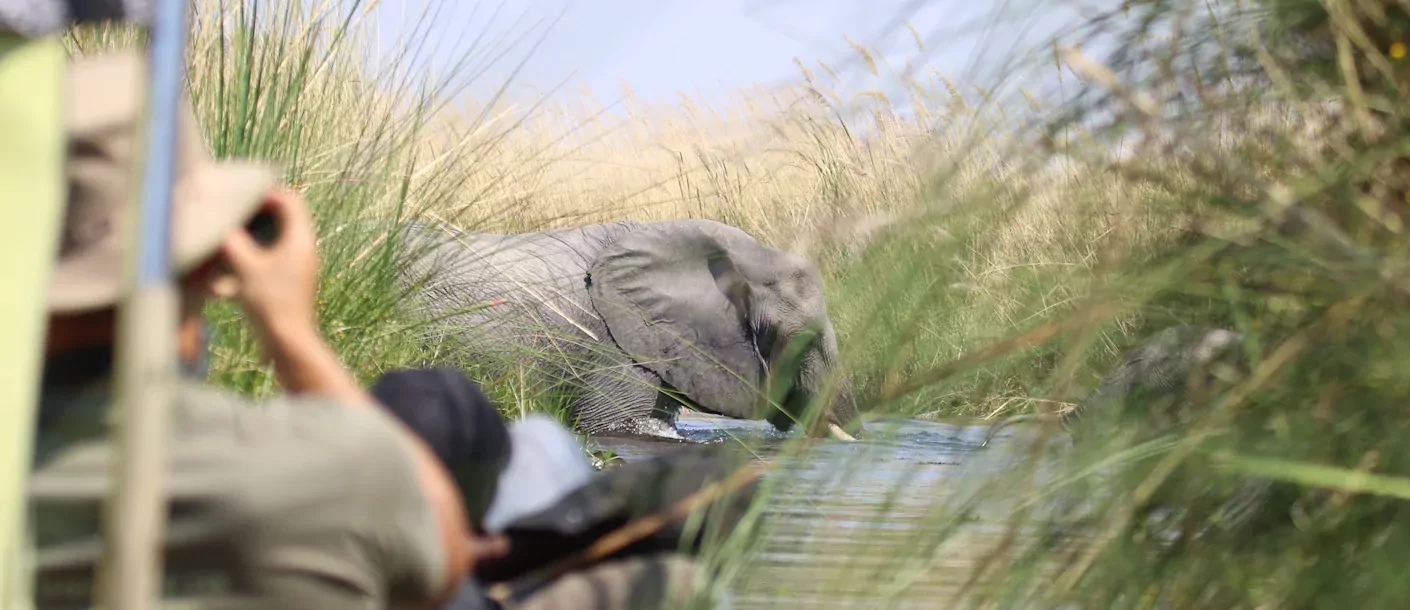 sunway botswana okavango jez hollinshead-1101131.webp