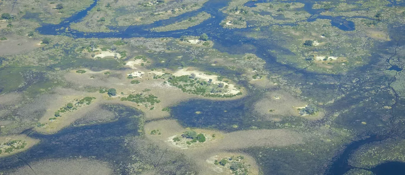 okavango delta - vanuit de lucht.webp