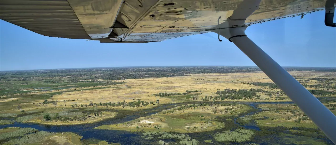 okavango delta - vlucht.webp