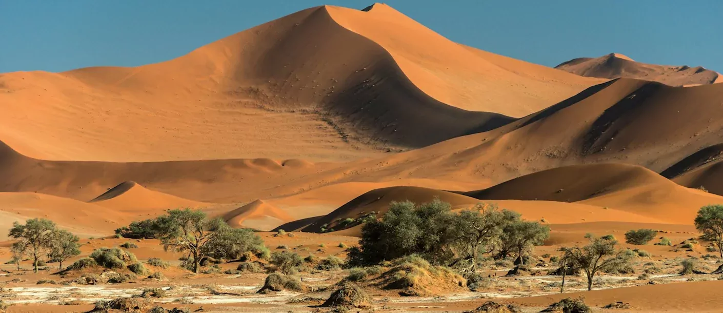 sossusvlei (3).webp