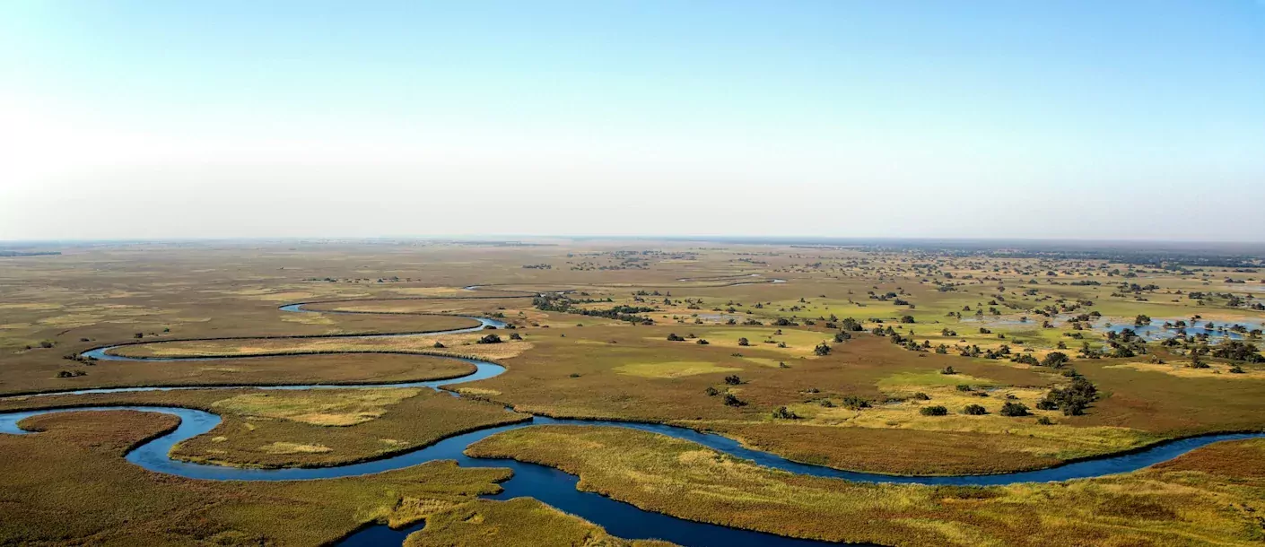 okavango delta.webp