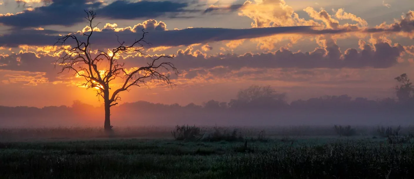 khwai - zonsondergang.webp