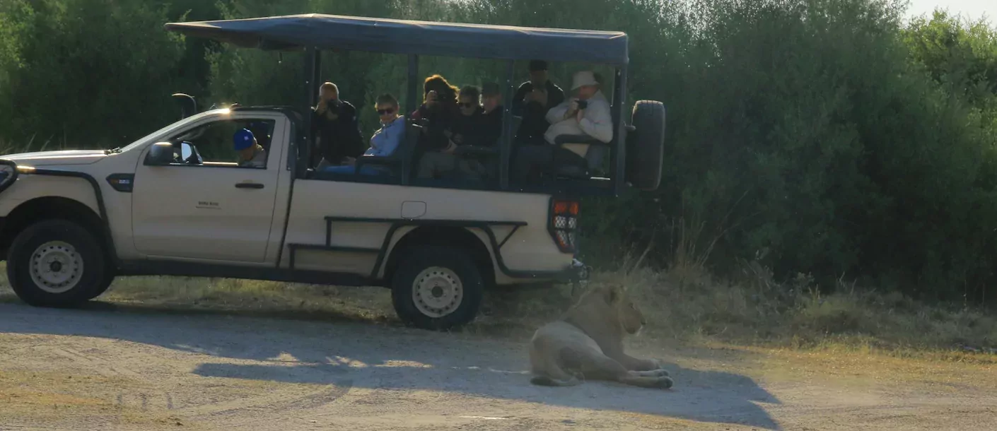 chobe - jeep.webp