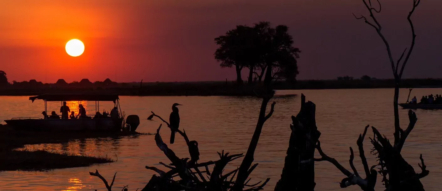 chobe river - boottocht.webp