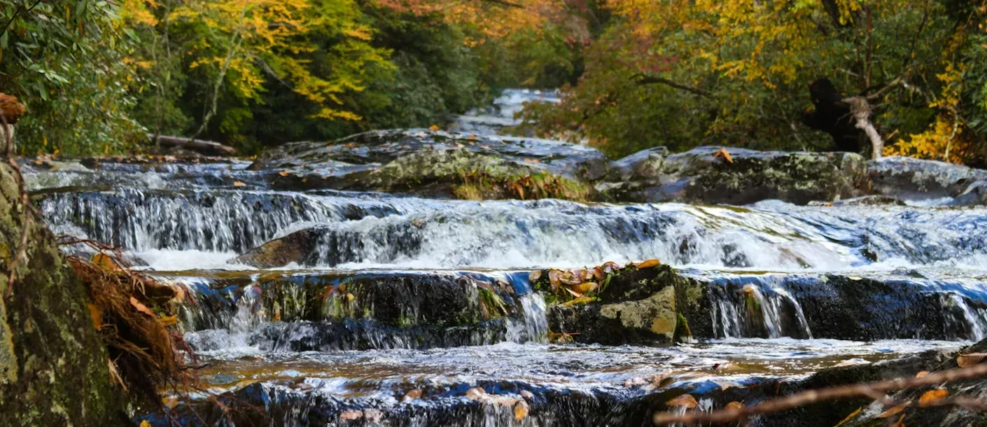 great-smokey-mountains-2.webp