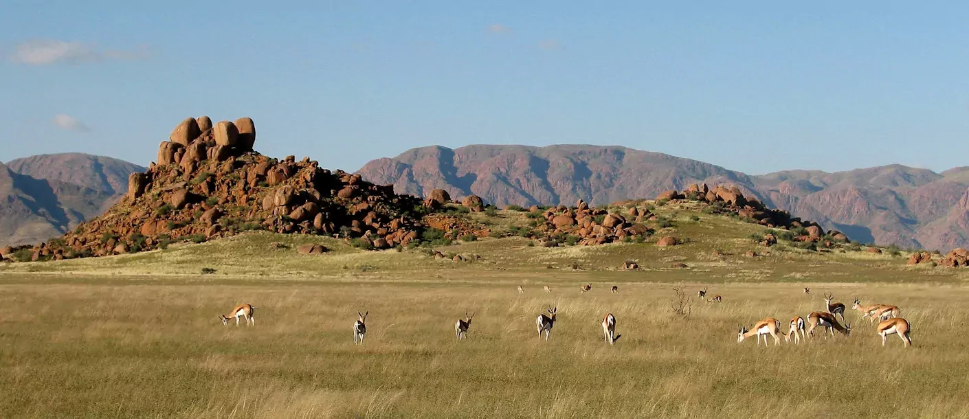 sunway namibia brandberg springbok henry bell.webp