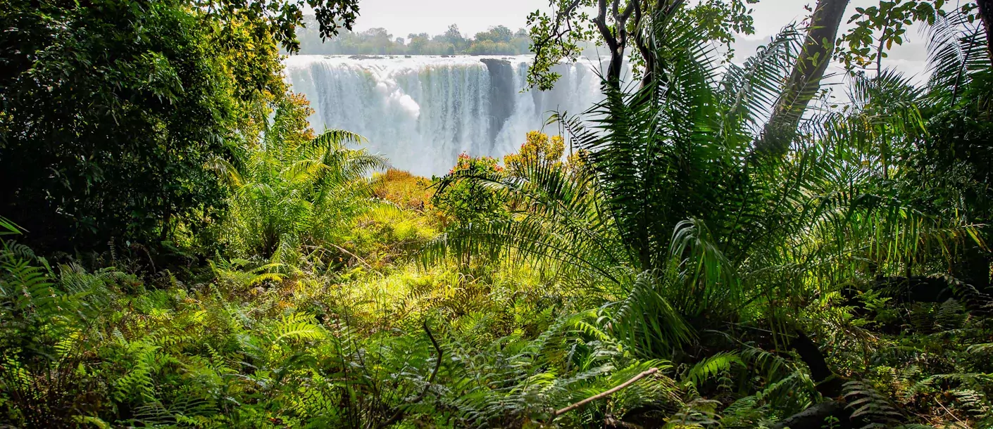 sunway zimbabwe victoria falls bruce taylor-4950.webp