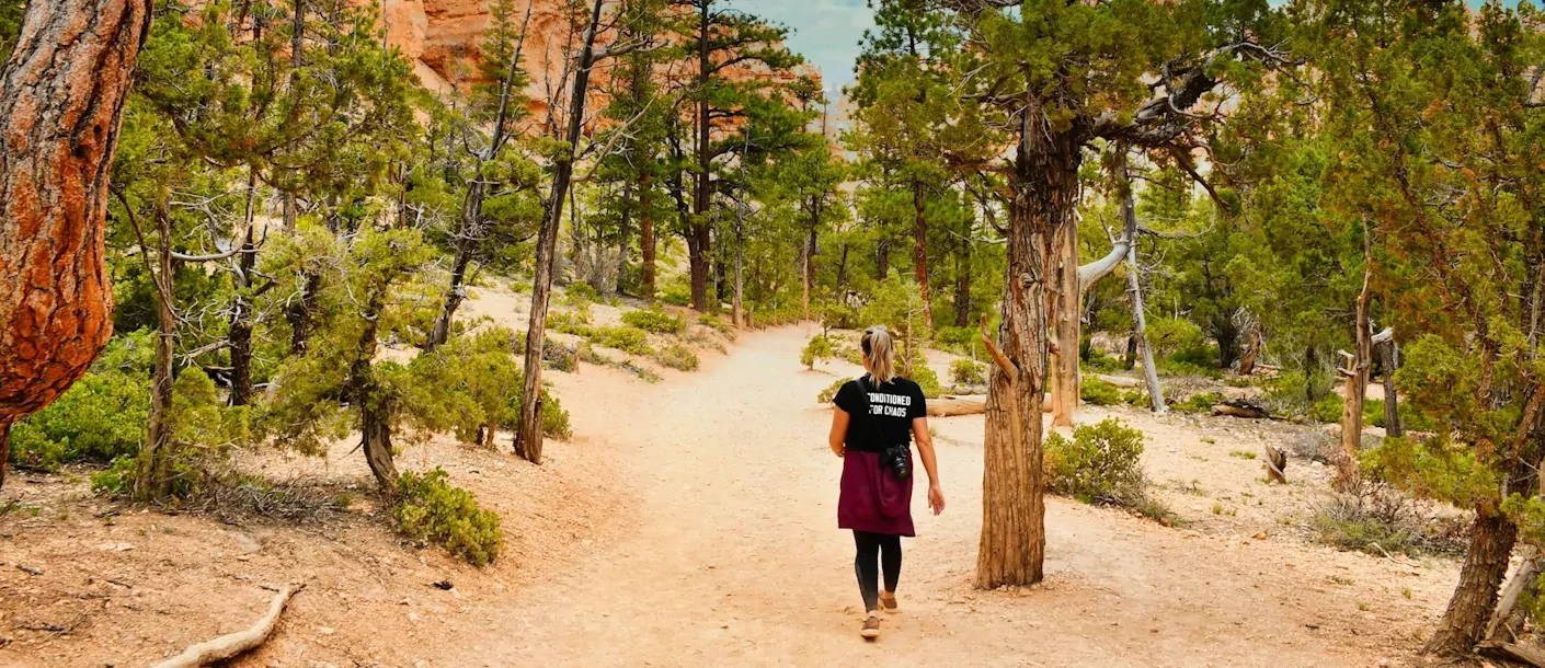 bryce-canyon-national-park.webp