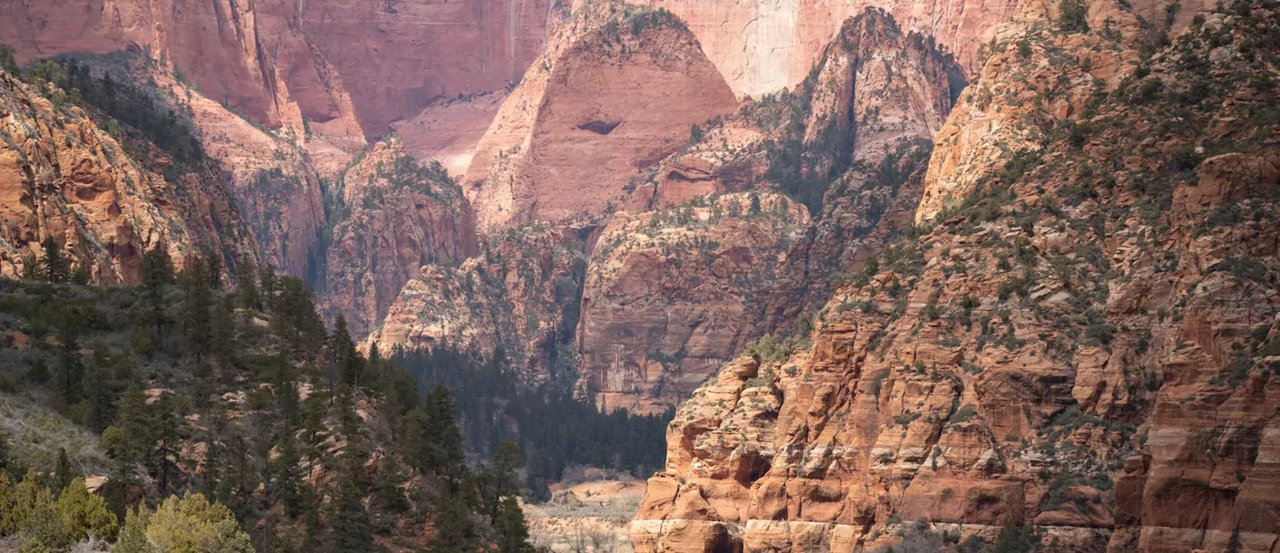 zion-national-park.webp