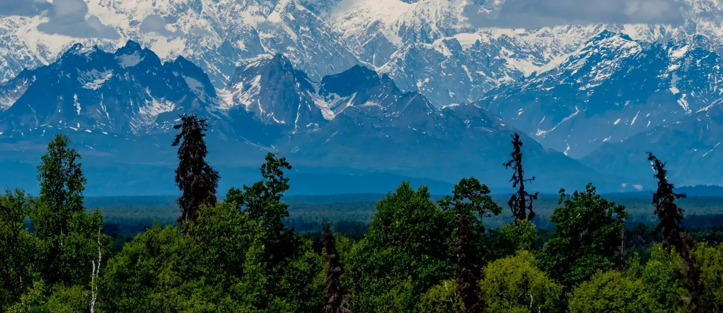 denali-np.webp