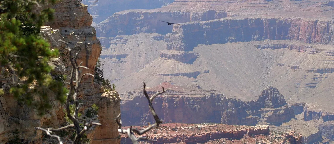 grand canyon national park.webp