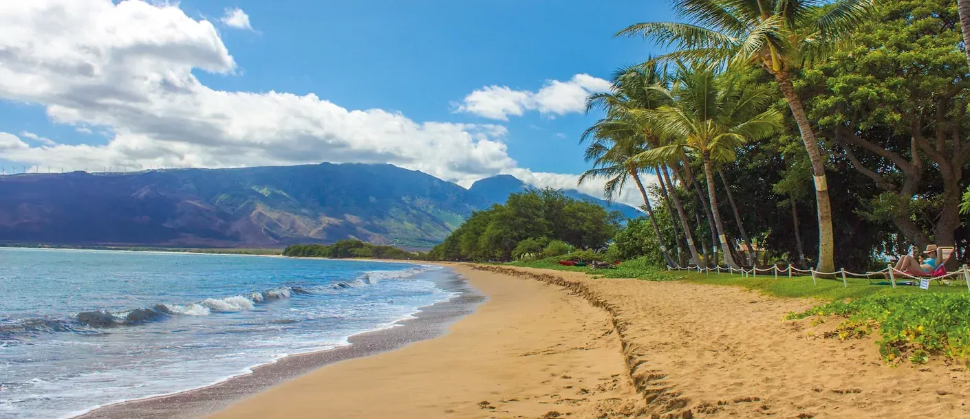 hawaii strand.webp