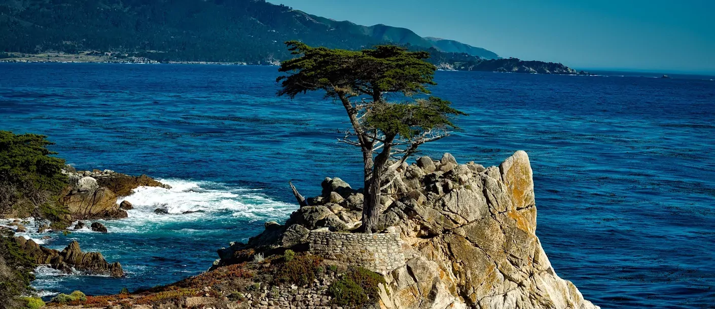 monterey lone cypress ii.webp