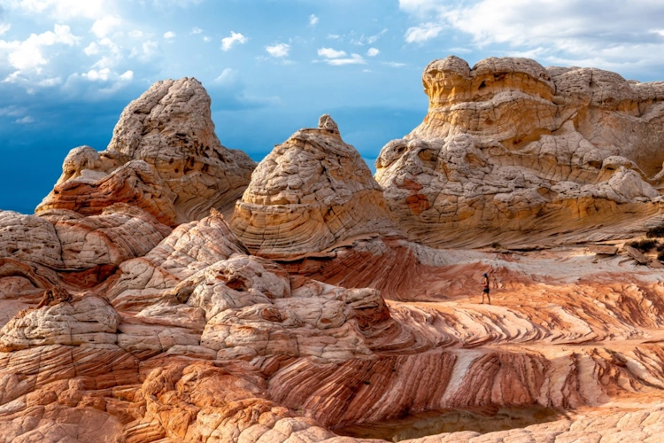 vermilion cliffs national monument white pocket.webp