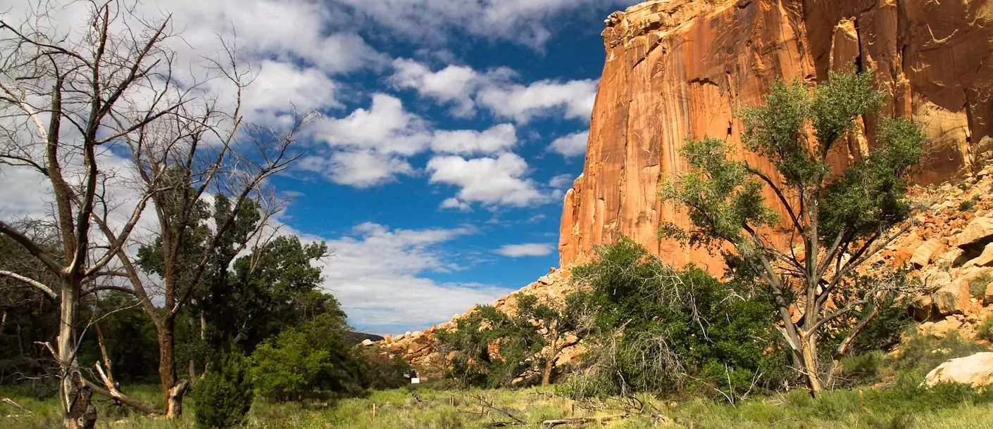 capitol reef national park 03092024 001.webp