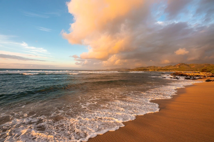 kauai shores hotel omgeving.webp