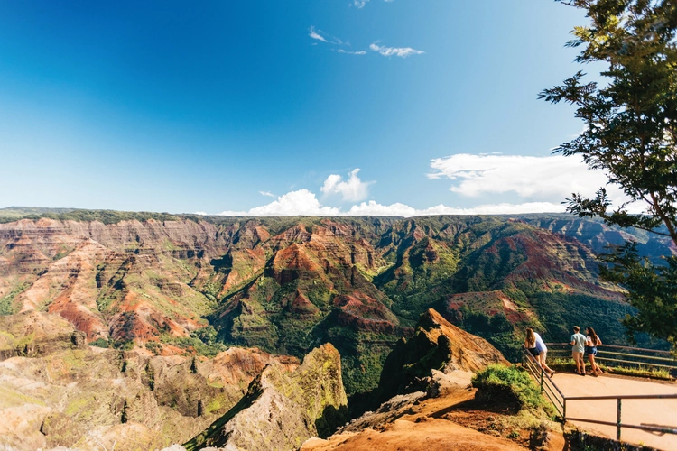 waimea canyon lookout dag 9.webp