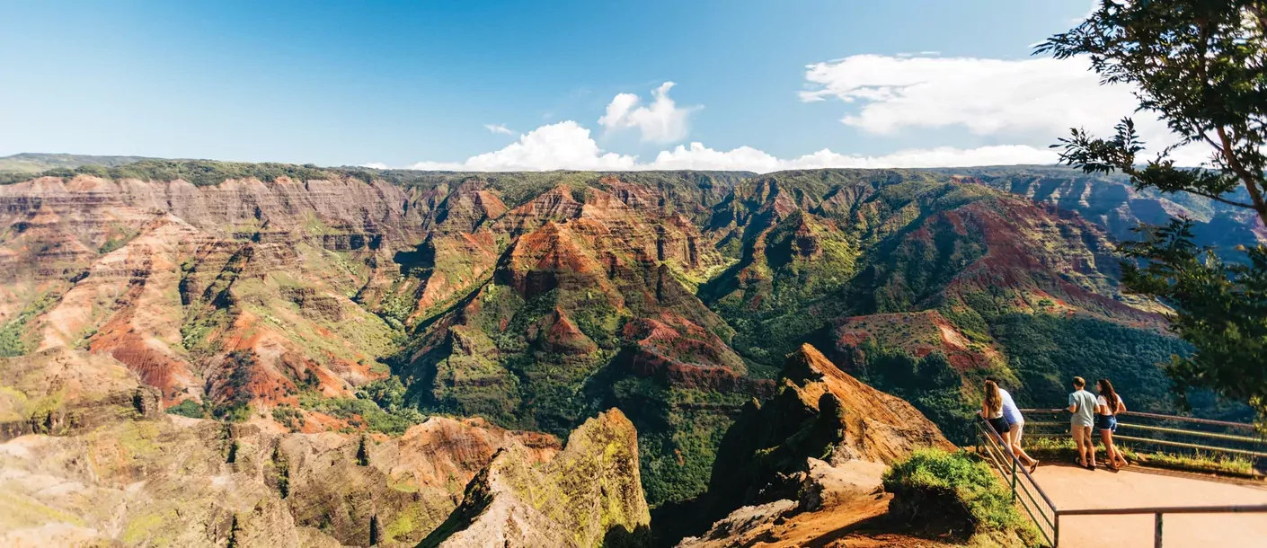 waimea canyon lookout.webp