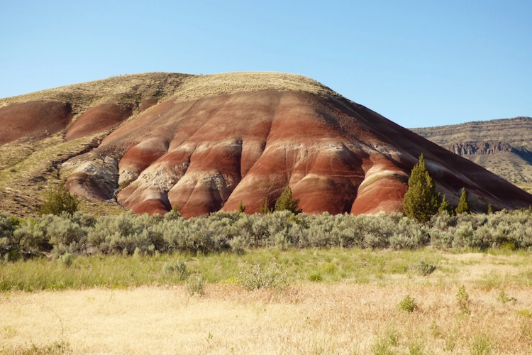 painted hills dag 5.webp