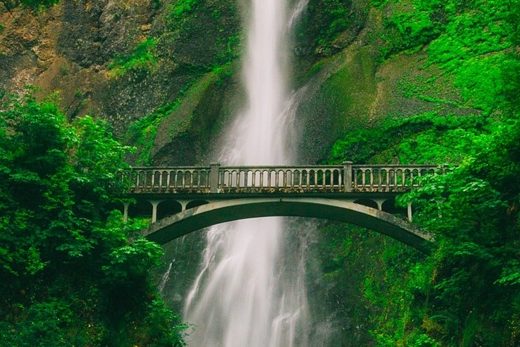 multnomah falls dag 2.webp