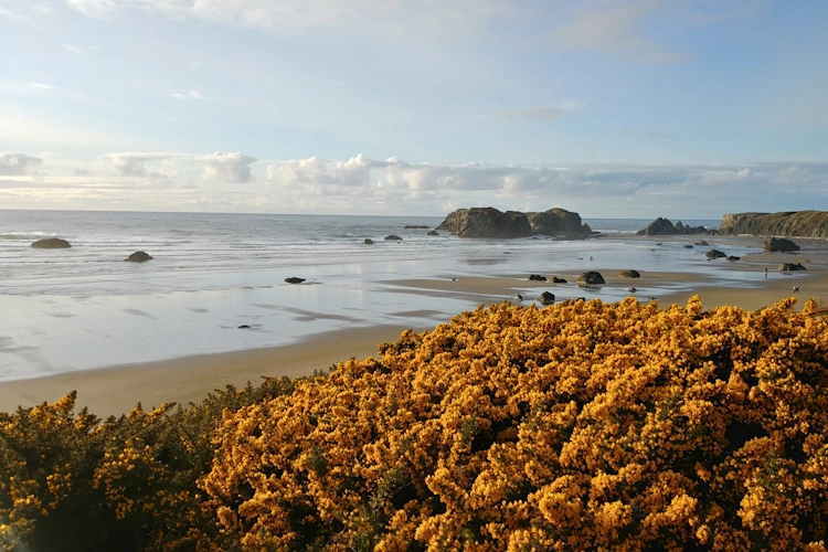 bandon beach dag 9.webp