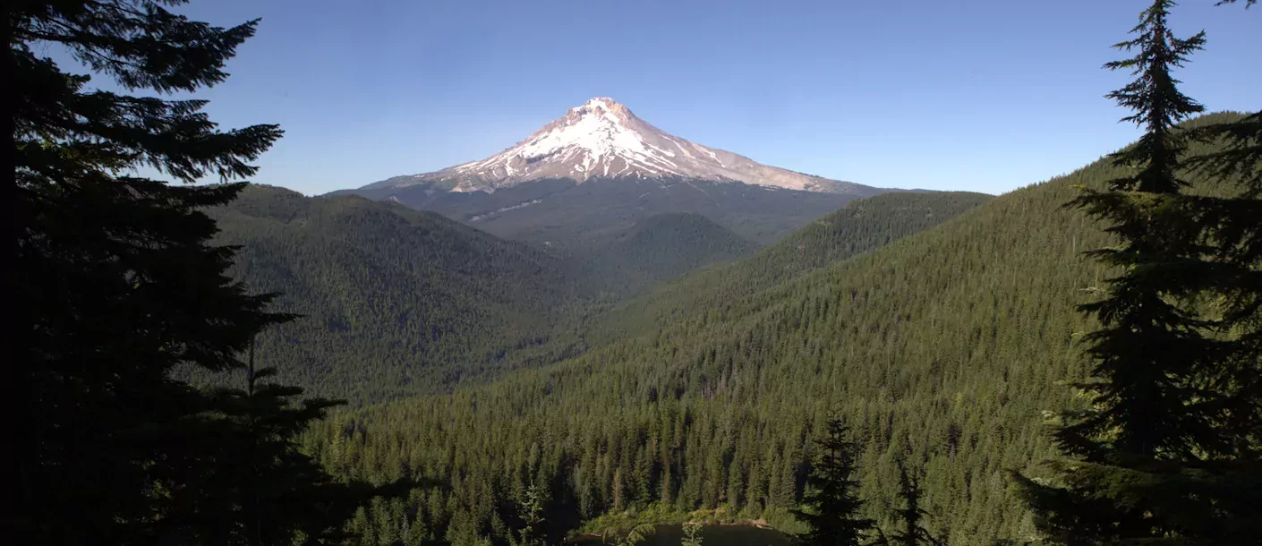 mount hood 1.webp