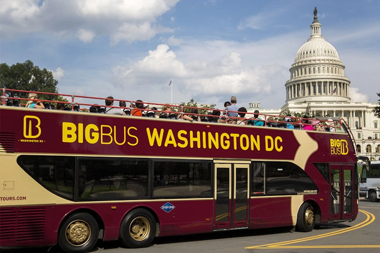 big bus washington dc essential ticket.webp