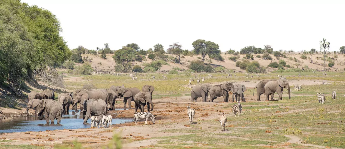 in de voetsporen van de olifant groepsreis botswana zimbabwe van sunway safaris sfeerfoto 012.webp