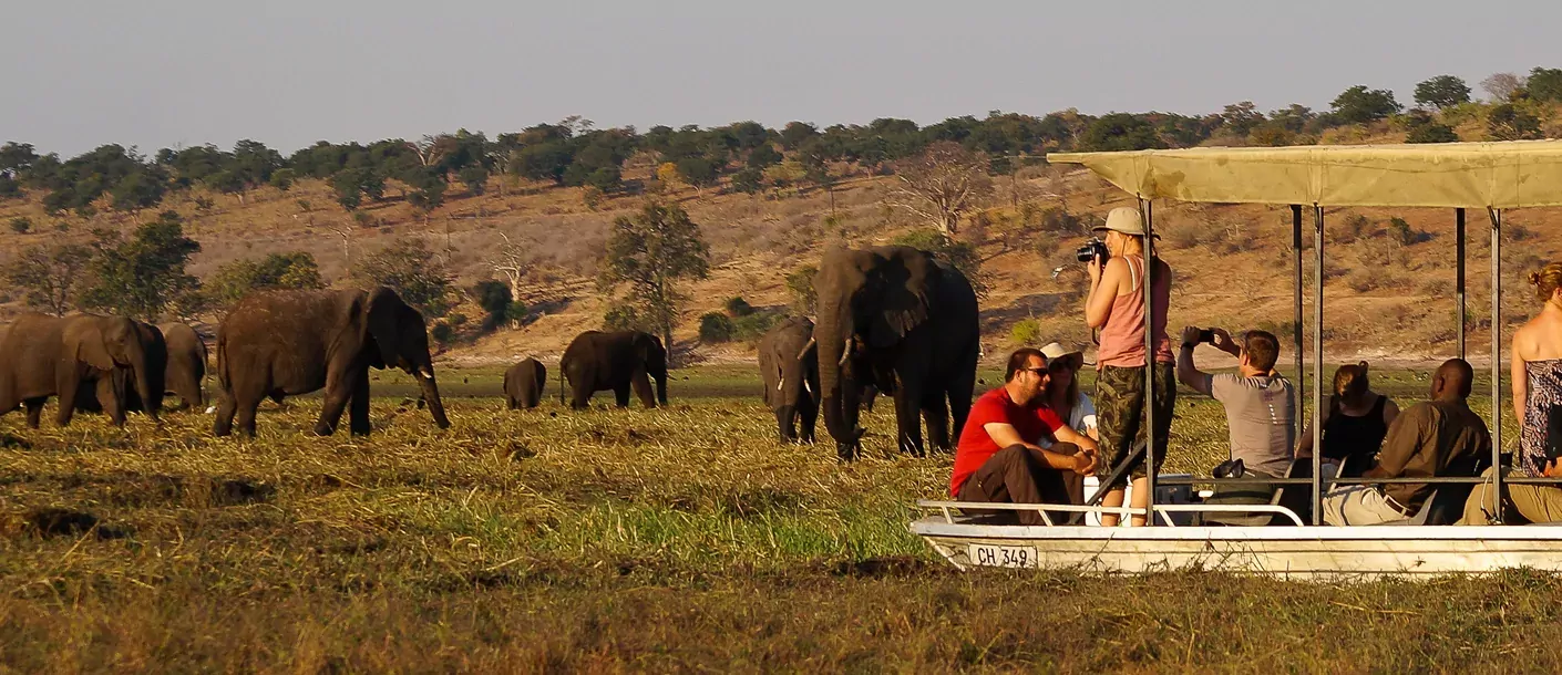 in de voetsporen van de olifant groepsreis botswana zimbabwe van sunway safaris sfeerfoto 003.webp