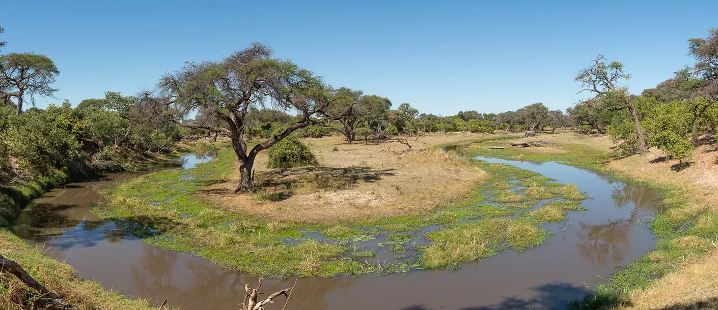 in de voetsporen van de olifant groepsreis botswana zimbabwe van sunway safaris sfeerfoto 016.webp