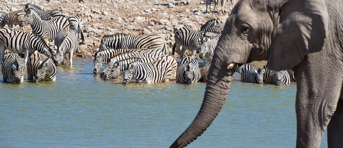 groepsreis kleine groepen namibie botswana de olifantenroute van windhoek tot victoria falls 016.webp