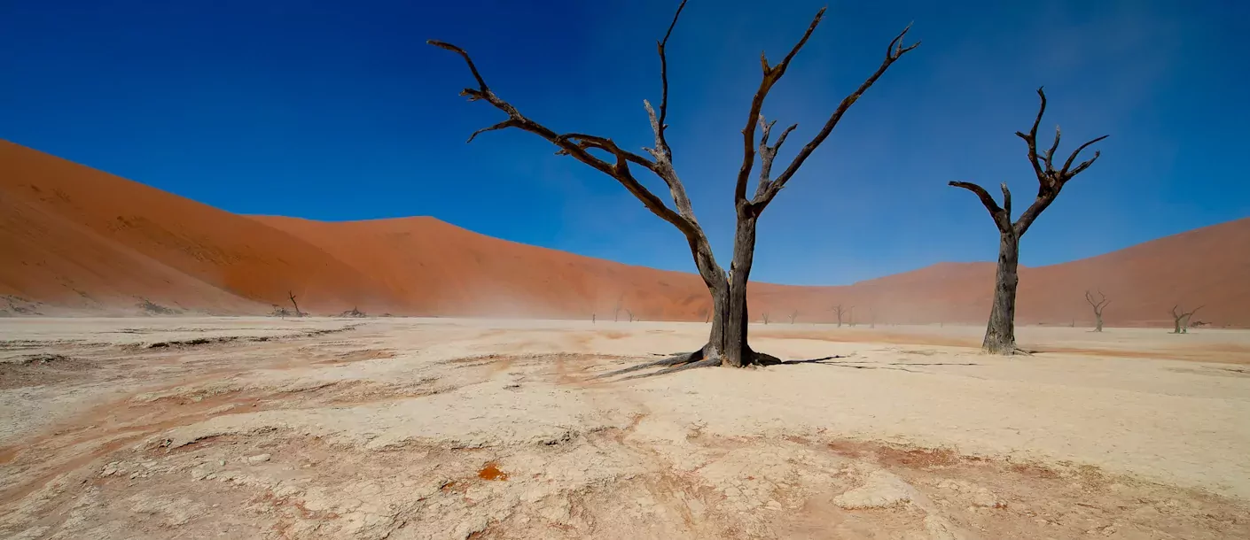 groepsreis kleine groepen namibie sossusvlei  de olifantenroute van windhoek tot victoria falls 017.webp