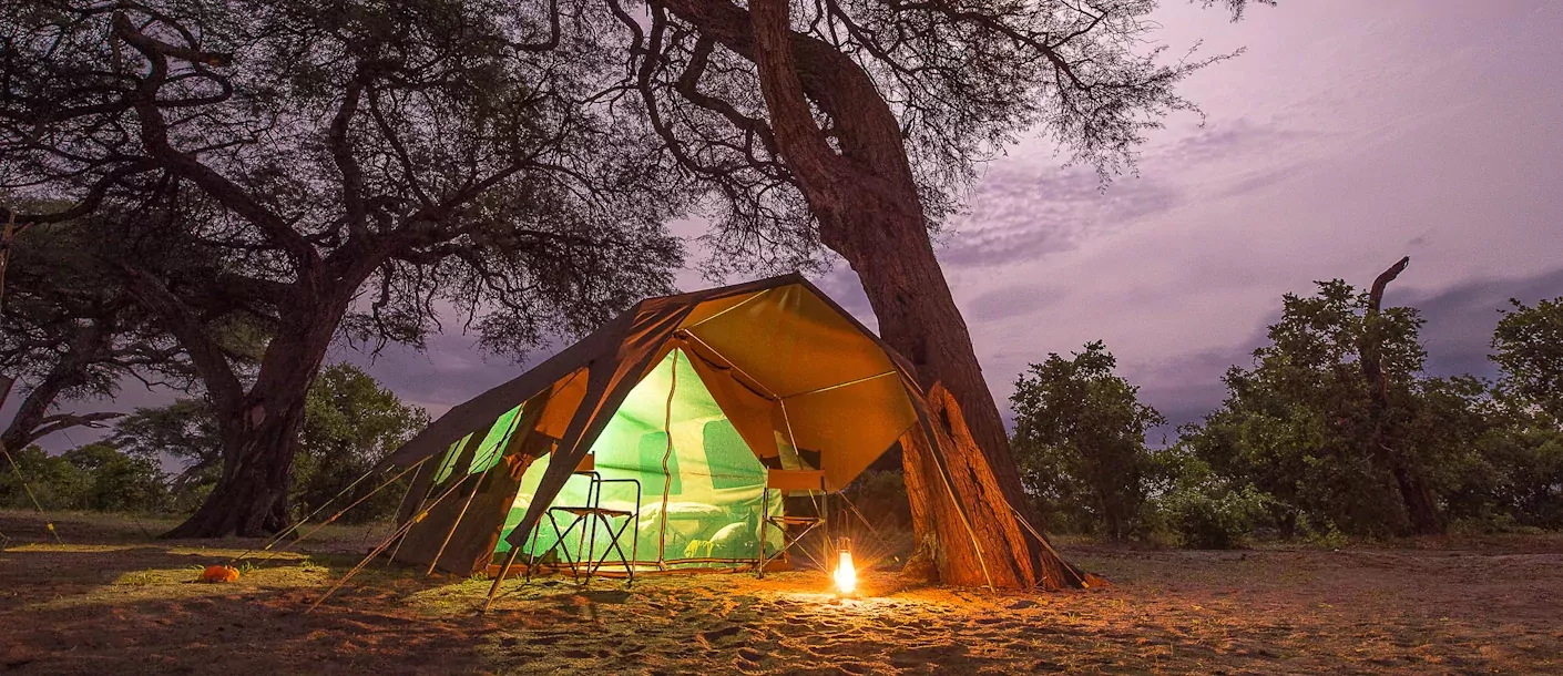 botswana baobabs en delta safari luxury mobile camping 1007.webp