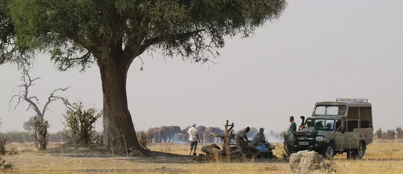 botswana baobabs en delta safari savuti 1014.webp