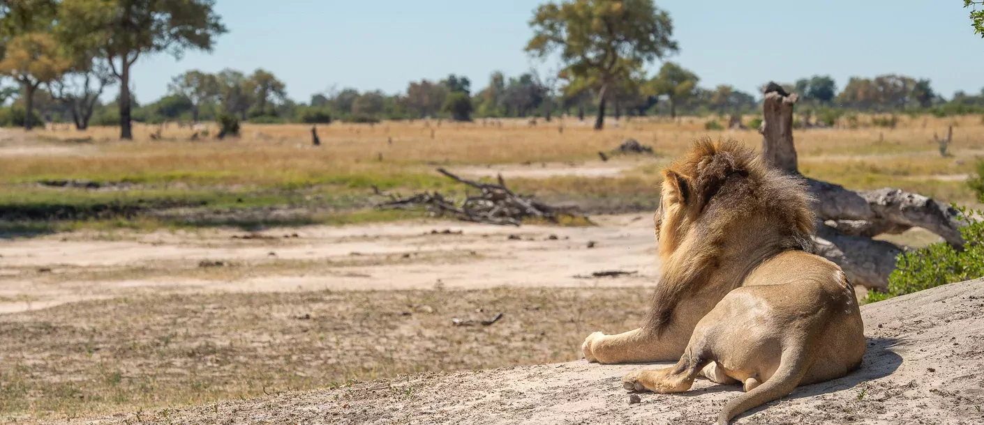 kampeersafari zimbabwe en botswana hwange 1008.webp