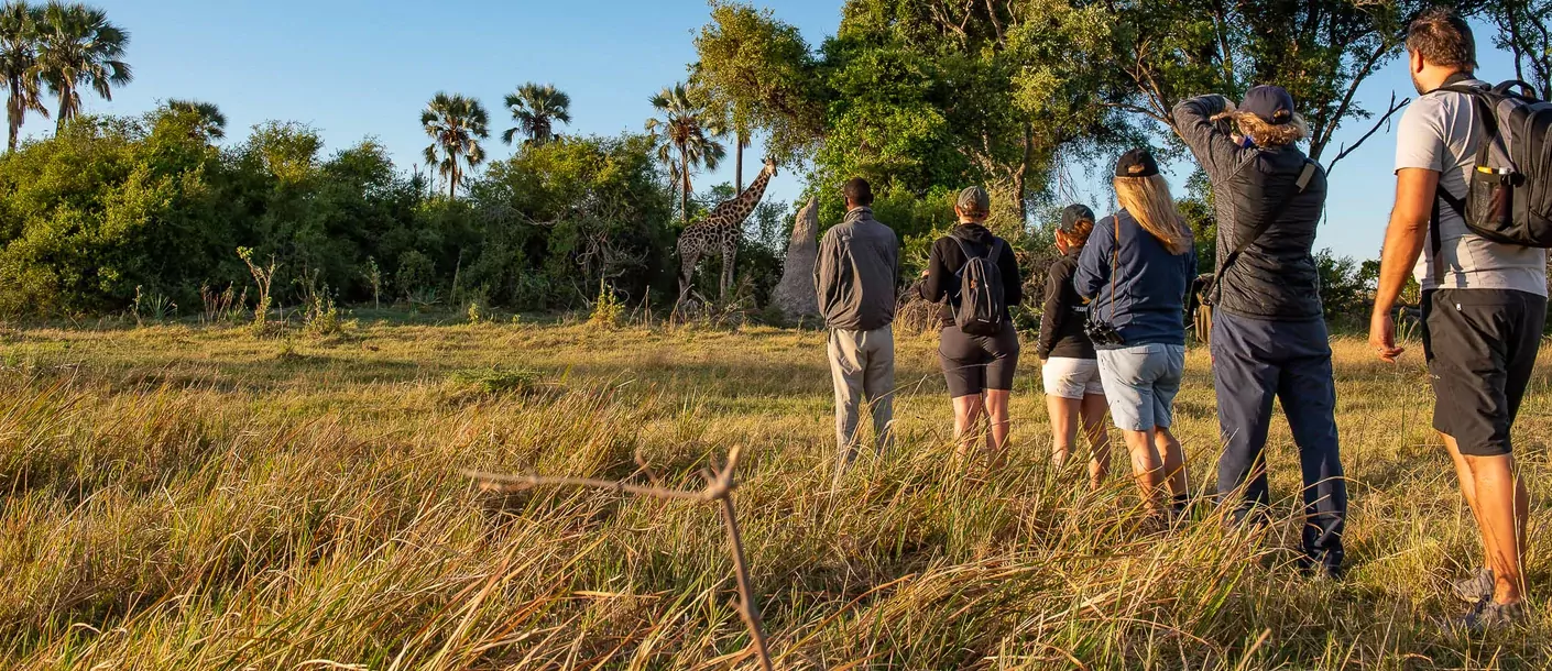 kampeersafari zimbabwe en botswana okavango 1003.webp